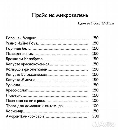 Микрозелень, мелисса и базилик