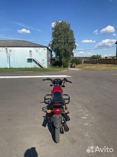 Alpha 110