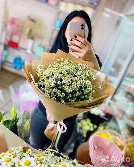 Цветы ромашки