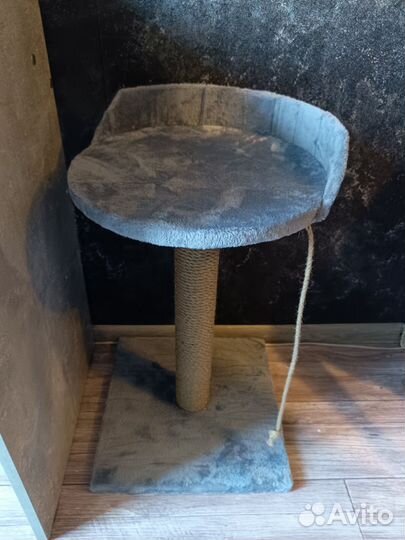 Когтеточка