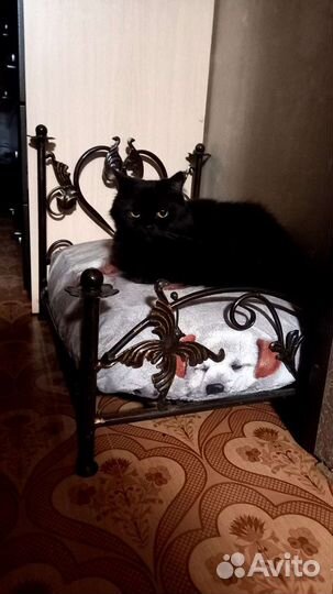 Лежанка для собачки или кошечки