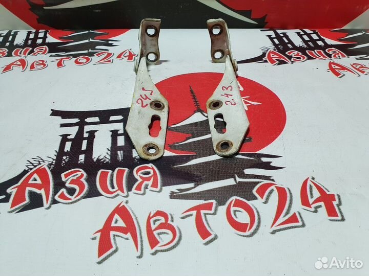 Петля капота Honda Stepwgn RF1 B20B 2000