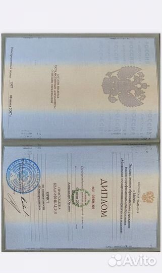 Практикующий юрист