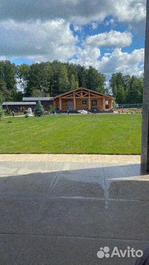 Рулонный газон, укладка, продажа