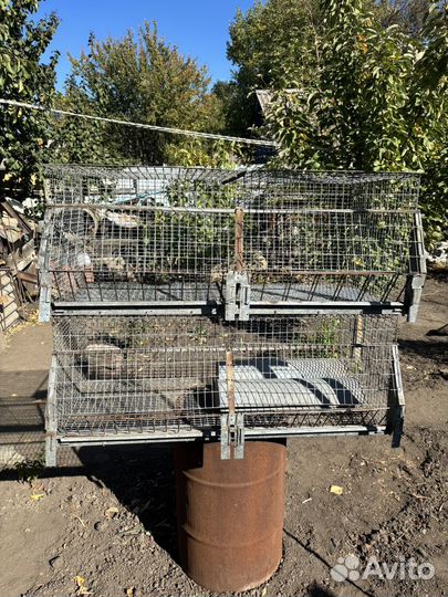 Клетка дя кролов