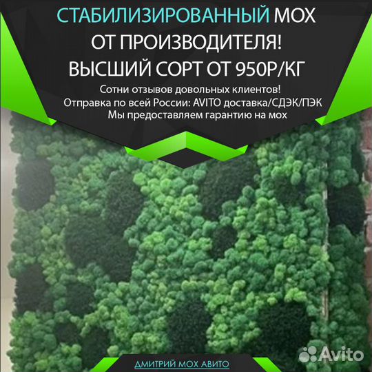 Стабилизированный мох для интерьера стен и кашпо