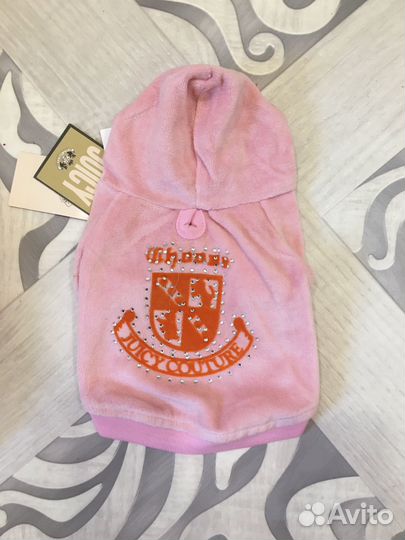 Одежда для собак