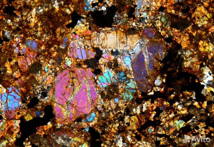 Прозрачно-полированный шлиф. Метеорит Calama 180