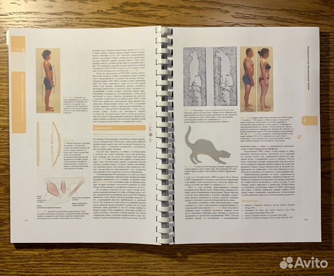 Книги по ортопедии