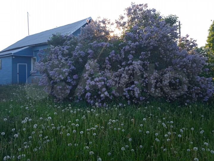 Дом 40 м² на участке 35 сот.