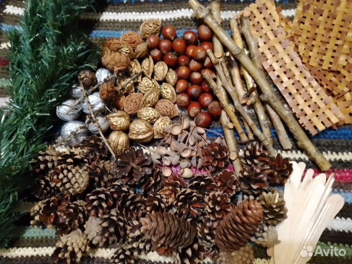 Шишки,косточки и до. Для поделок