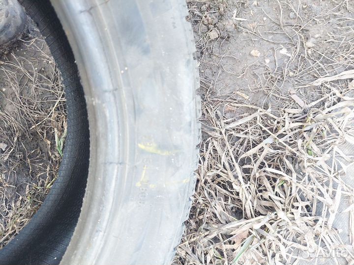 Pirelli Formula Ice 195/55