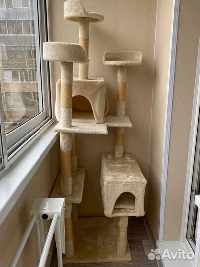 Кошачий домик