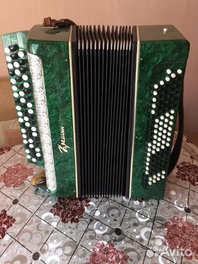 Баян россия