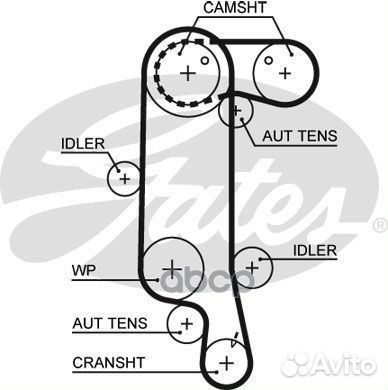 Ремень грм VW 1.4L 16V 130з. 5565XS Gates