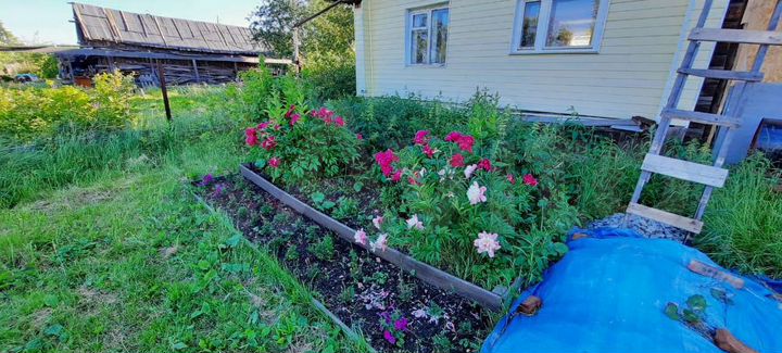 Дом 33,5 м² на участке 14,1 сот.