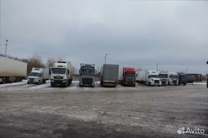 Организация перевозки сборных грузов