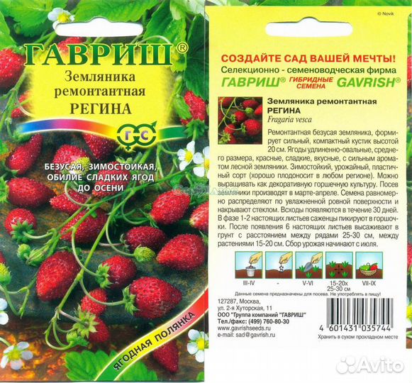 Рассада:земляника, петунии,сельдерей и др