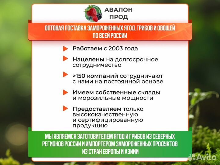 Опята замороженные / замороженные грибы