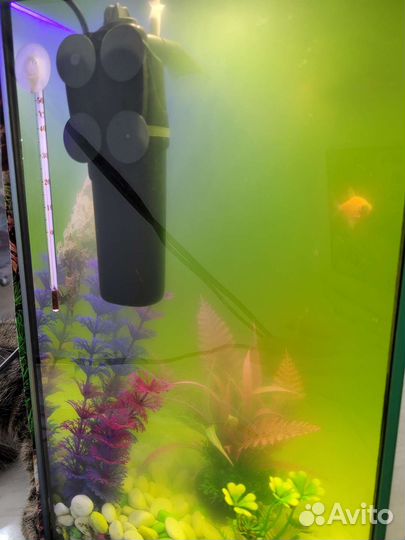 Аквариум