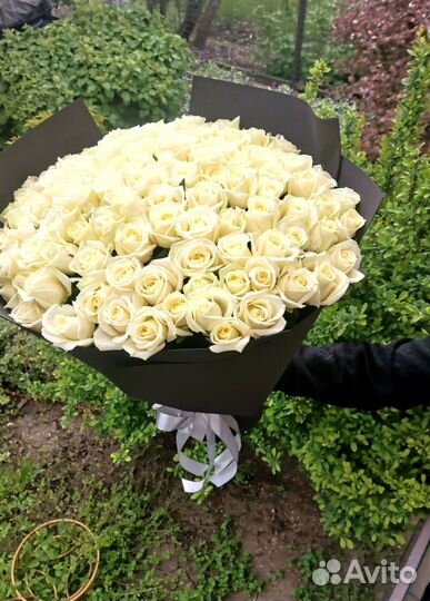 Розы, букет цветов, 101 роза, 51 роза. Розы опт