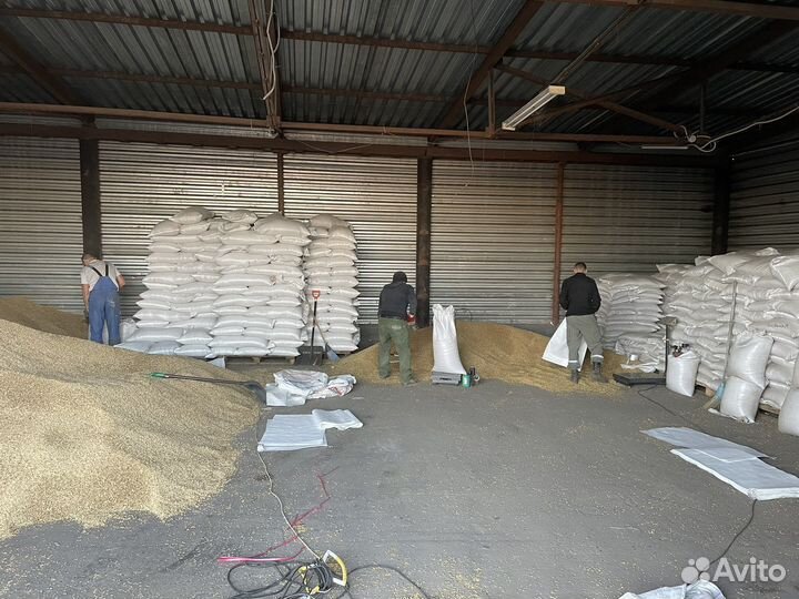 Фасовка/Погрузка зерна в Мешки и Биг-Бэг