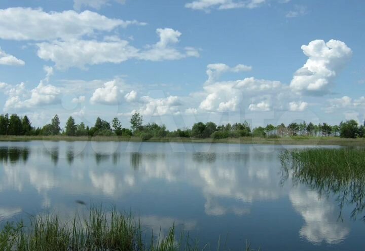 Участок 100 сот. (СНТ, ДНП)