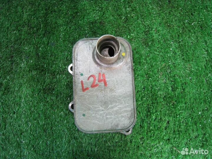 Маслоохладитель volkswagen Tiguan (5N1) 2011