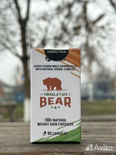 Bear — для набора веса до 12 кг