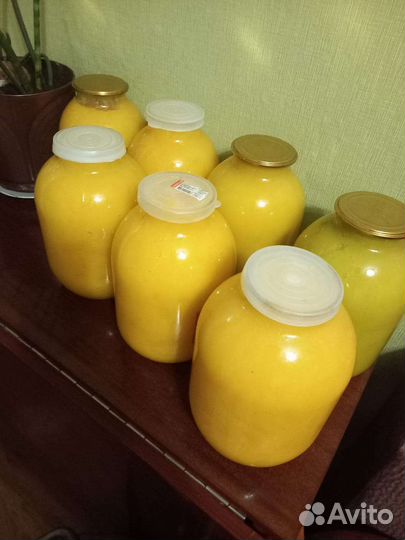 Мед кореандр