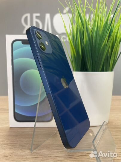 iPhone 12, 256 ГБ