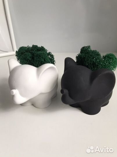 Кашпо слоник+ мох