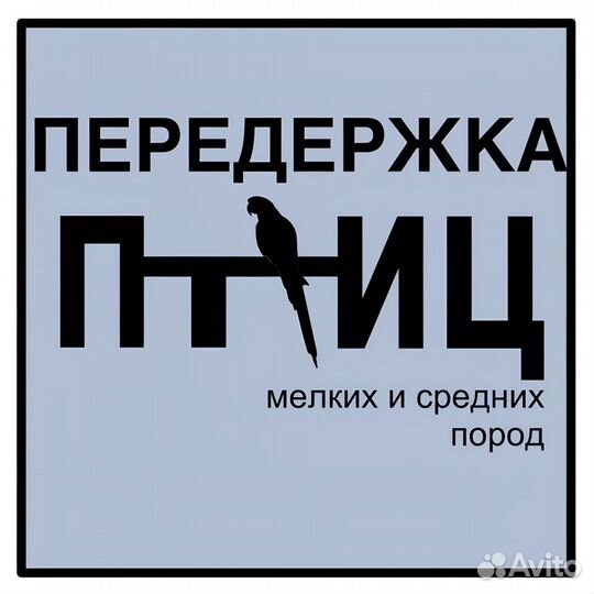 Передержка птиц