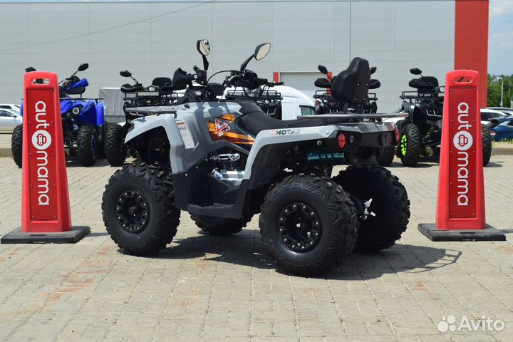 Квадроцикл Motax ATV Grizlik 250 Ultra (Гризлик)