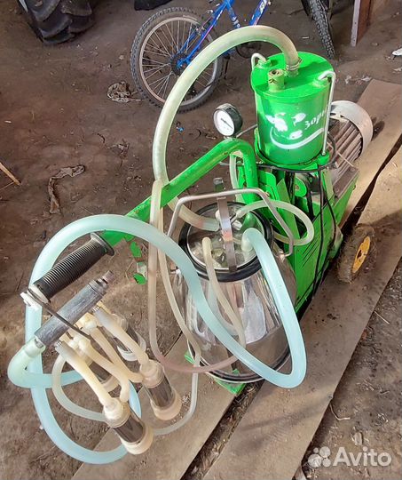 Доильный аппарат для коров