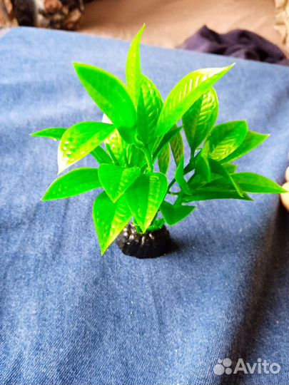 Декорации и растения для аквариума