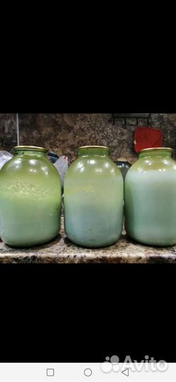 Топленый свиной жир