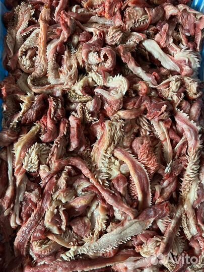 Мясо говядина для собак