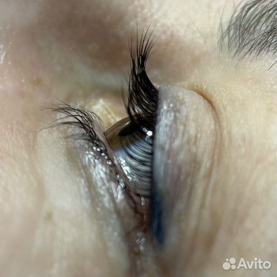 Мастер бровист