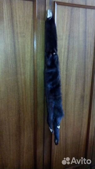 Шкурка норки