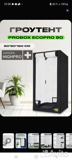 Гроутент Probox Ecopro 80
