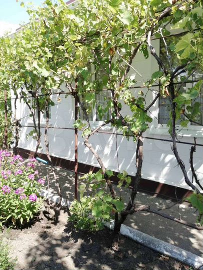 Дом 76,3 м² на участке 9,5 сот.