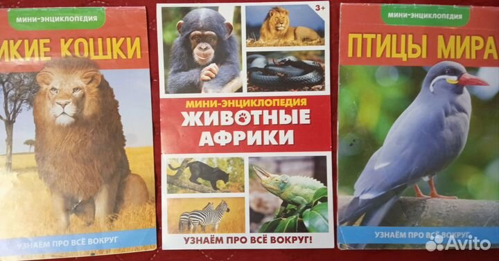 Детские энциклопедии и книги пакетом
