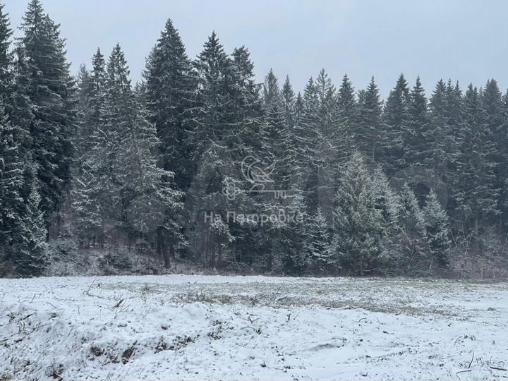 Участок 15,4 сот. (ИЖС)