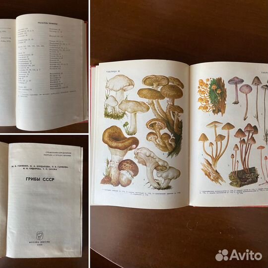 Книги о грибах