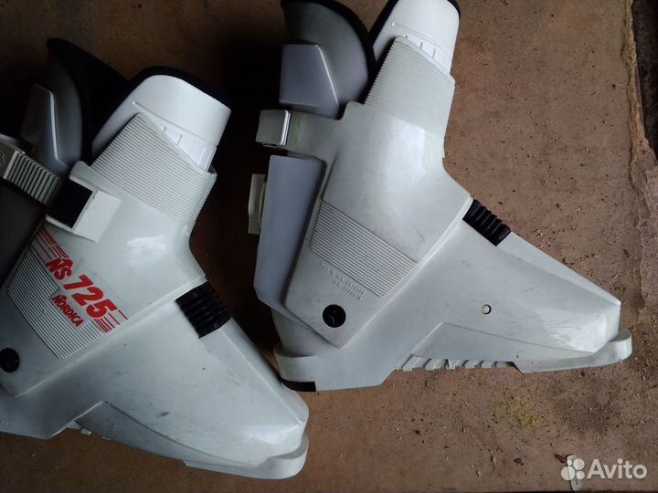 Ботинки для горных лыж