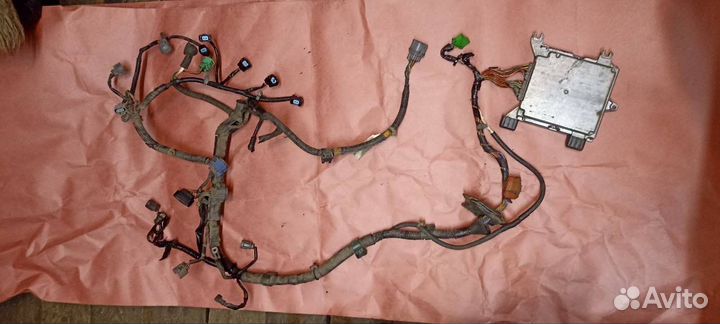 Проводка, коса двигателя с эбу. Honda civic ek6