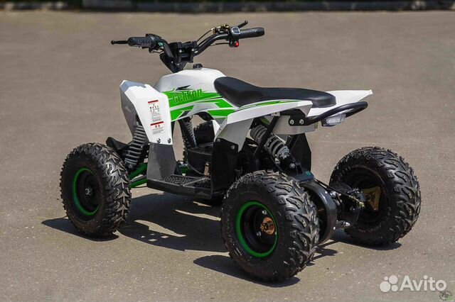 Детский электро квадроцикл motax gekkon 1300W купить в Рязани ...