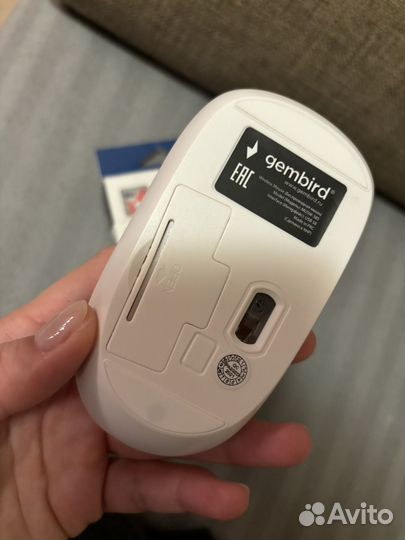 Мышка беспородная штатив