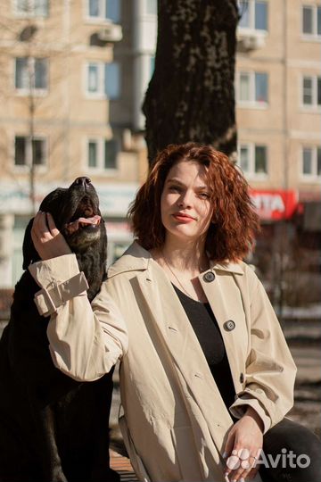 Передержка с дрессировкой, агрессия, страх